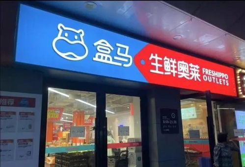 對話盒馬侯毅 做企業不賺錢，總歸覺得是種恥辱——新零售的批發兼零售之道