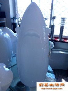 點亮生活，從專業路燈批發到安心食品零售——一站式采購新體驗