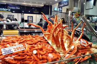 緣定南半球 為何我選擇澳大利亞作為旅行目的地