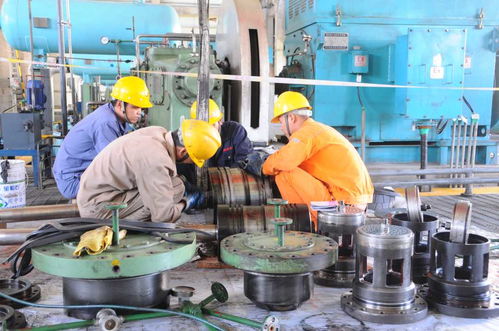 河南安陽殷都區(qū) 不負(fù)春光 搶抓生產(chǎn)