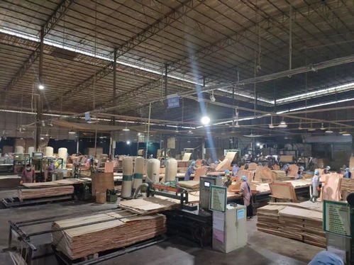 山圩產(chǎn)業(yè)園延鏈補(bǔ)鏈強(qiáng)鏈助推木業(yè)產(chǎn)業(yè)高質(zhì)量發(fā)展