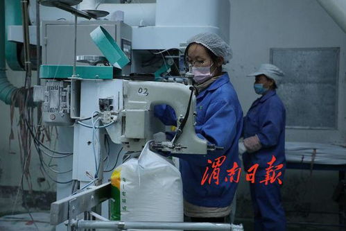 高效協同 質量為先——論壓鑄制品行業如何保障生產供應與市場穩定